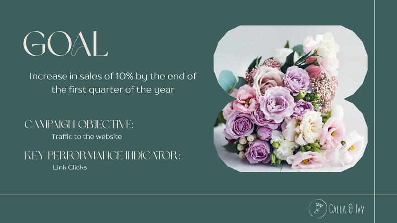 Facebook Campaign Results Sample (1)