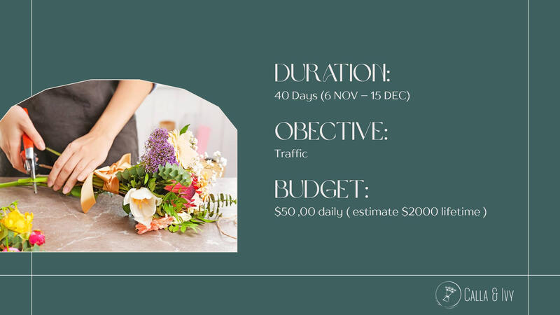 Facebook Campaign Results Sample (3)